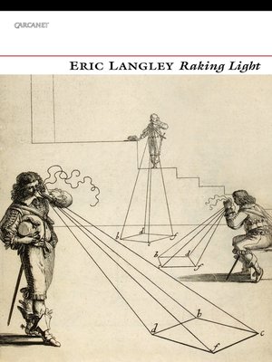 cover image of Raking Light